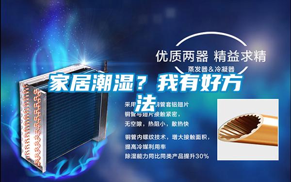 家居潮濕？我有好方法