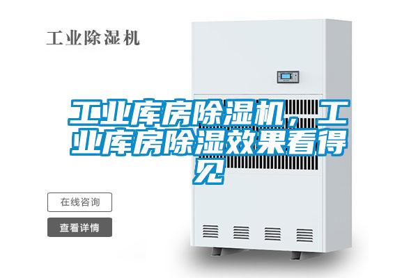 工業(yè)庫房除濕機(jī)，工業(yè)庫房除濕效果看得見