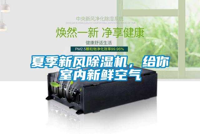 夏季新風(fēng)除濕機(jī)，給你室內(nèi)新鮮空氣