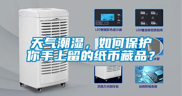 天氣潮濕，如何保護(hù)你手上留的紙幣藏品？