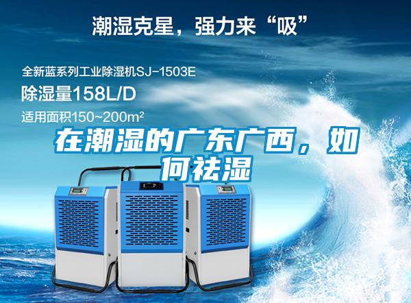 在潮濕的廣東廣西，如何祛濕
