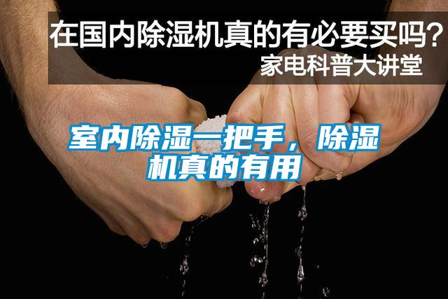 室內(nèi)除濕一把手，除濕機(jī)真的有用