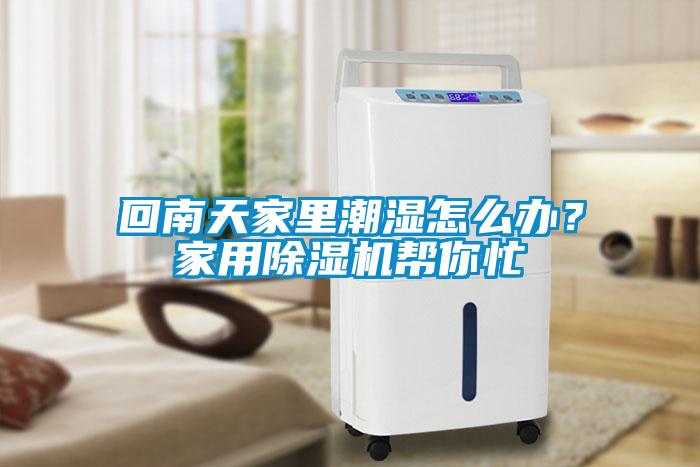 回南天家里潮濕怎么辦？家用除濕機(jī)幫你忙