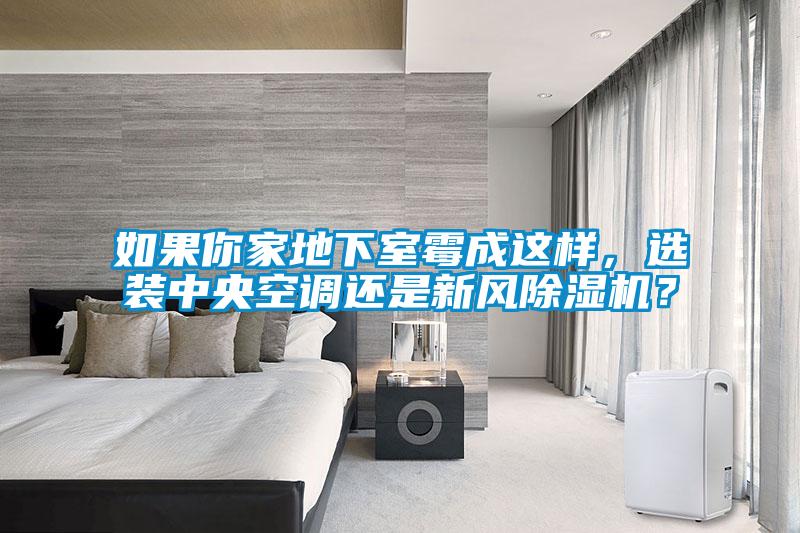 如果你家地下室霉成這樣，選裝中央空調(diào)還是新風(fēng)除濕機(jī)？
