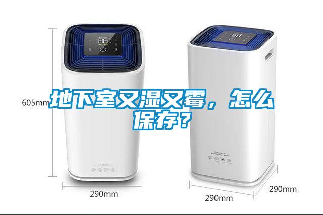 地下室又濕又霉，怎么保存？