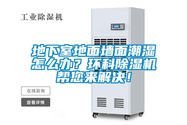 地下室地面墻面潮濕怎么辦？環(huán)科除濕機幫您來解決！
