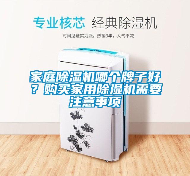 家庭除濕機哪個牌子好？購買家用除濕機需要注意事項