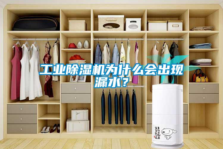 工業(yè)除濕機為什么會出現(xiàn)漏水？