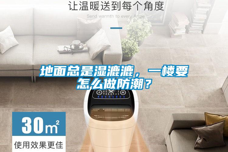 地面總是濕漉漉，一樓要怎么做防潮？