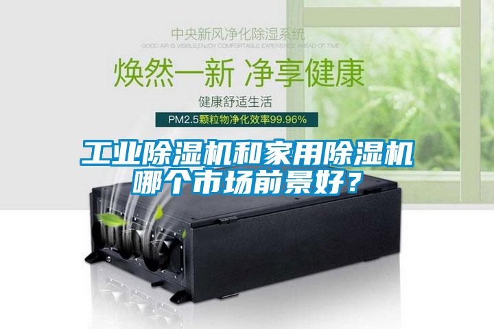 工業(yè)除濕機和家用除濕機哪個市場前景好？