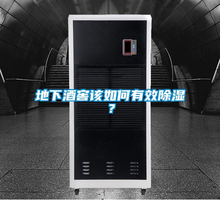 地下酒窖該如何有效除濕？