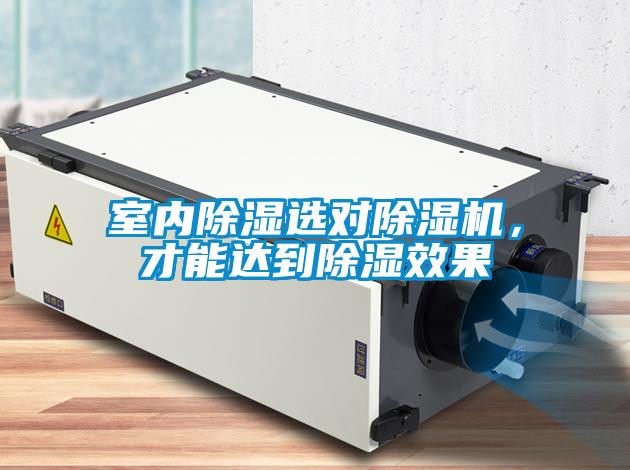 室內(nèi)除濕選對(duì)除濕機(jī)，才能達(dá)到除濕效果