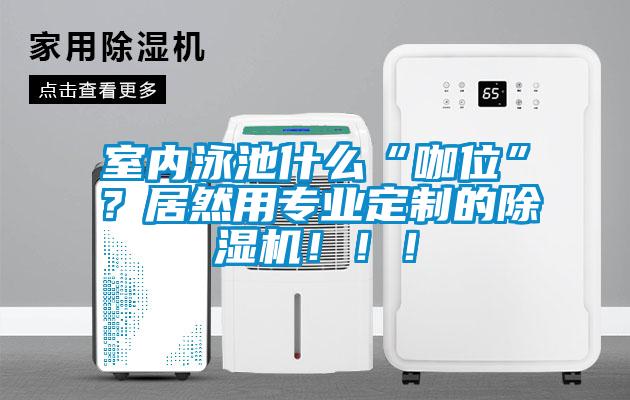 室內(nèi)泳池什么“咖位”？居然用專業(yè)定制的除濕機(jī)?。?！
