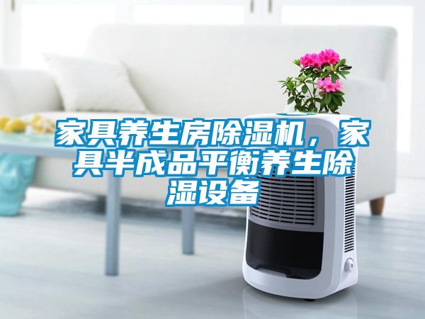 家具養(yǎng)生房除濕機(jī)，家具半成品平衡養(yǎng)生除濕設(shè)備