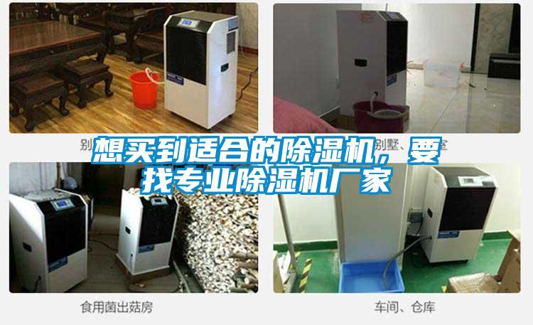 想買(mǎi)到適合的除濕機(jī)，要找專(zhuān)業(yè)除濕機(jī)廠家