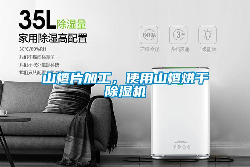 山楂片加工，使用山楂烘干除濕機