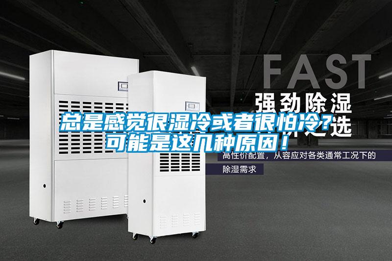 總是感覺很濕冷或者很怕冷？可能是這幾種原因！