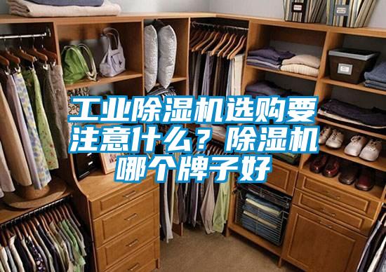 工業(yè)除濕機選購要注意什么？除濕機哪個牌子好
