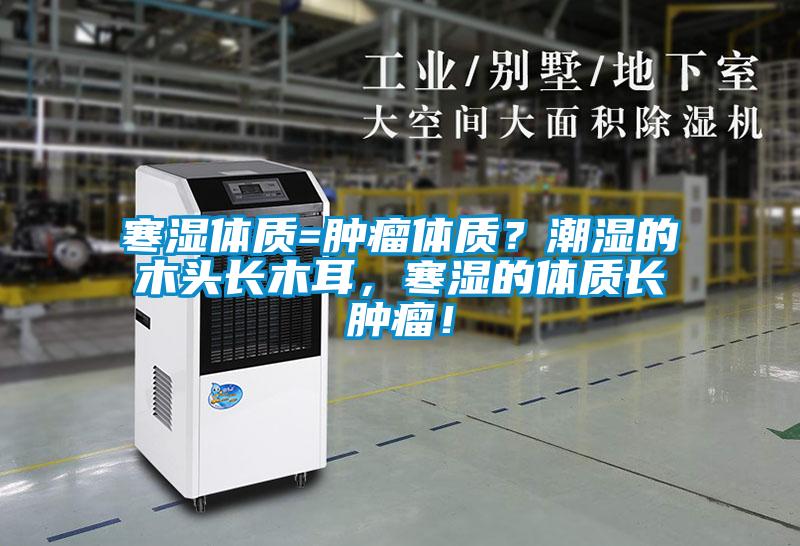 寒濕體質=腫瘤體質？潮濕的木頭長木耳，寒濕的體質長腫瘤！