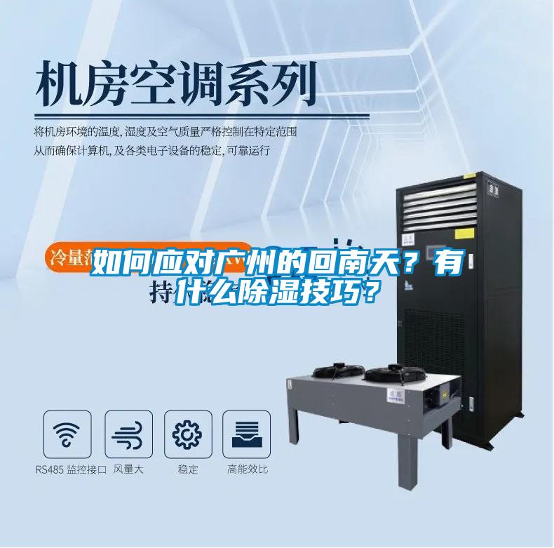 如何應對廣州的回南天？有什么除濕技巧？