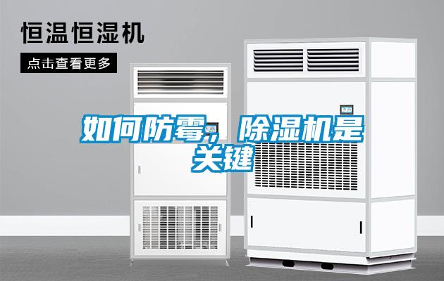 如何防霉，除濕機(jī)是關(guān)鍵