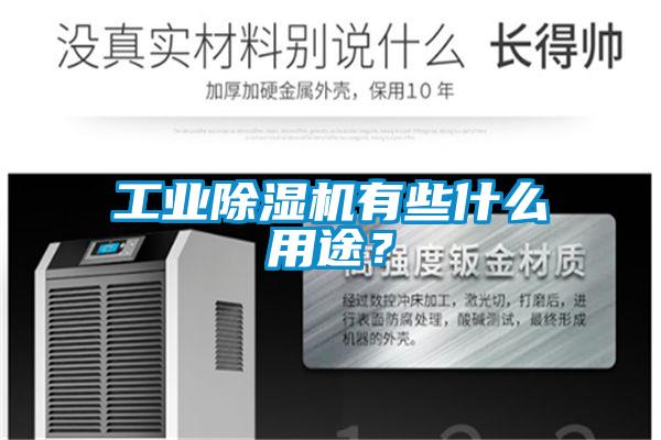 工業(yè)除濕機(jī)有些什么用途？