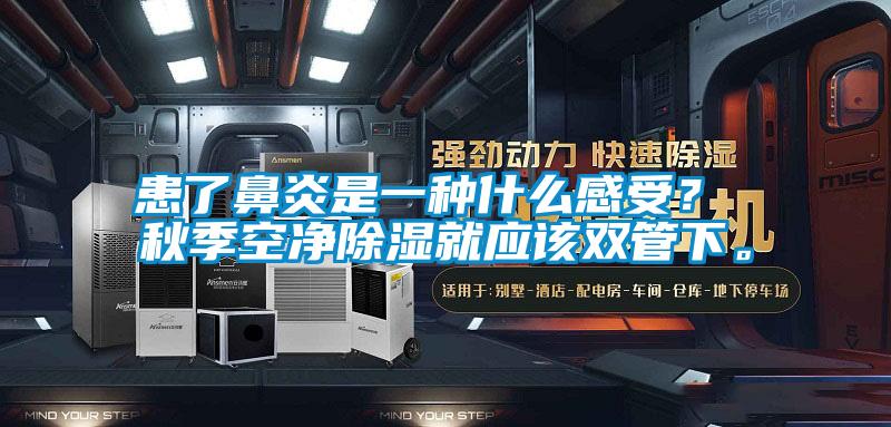 患了鼻炎是一種什么感受？ 秋季空凈除濕就應(yīng)該雙管下。