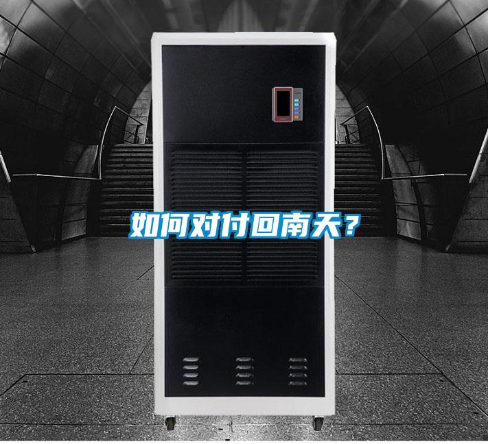 如何對付回南天？