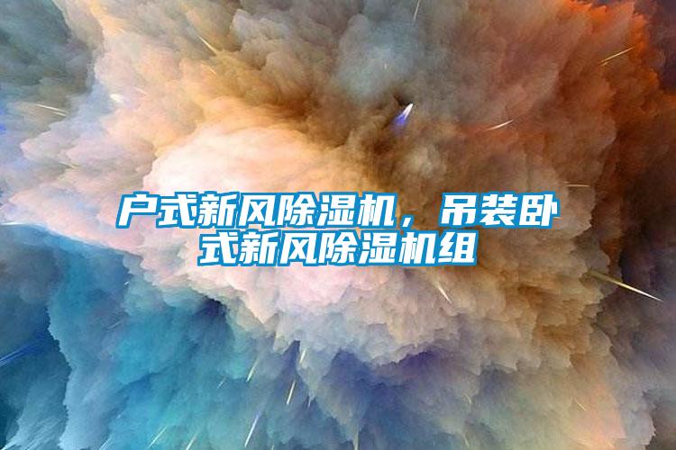 戶式新風除濕機，吊裝臥式新風除濕機組
