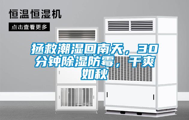 拯救潮濕回南天，30分鐘除濕防霉，干爽如秋