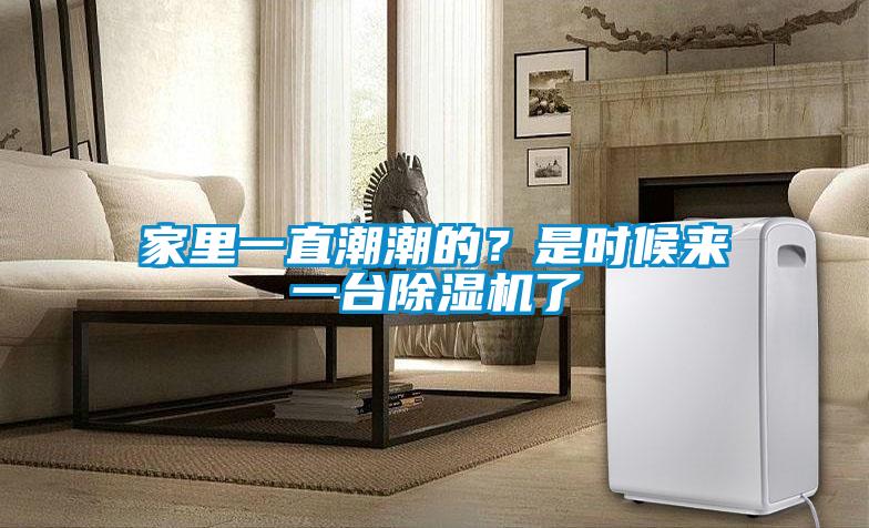 家里一直潮潮的？是時(shí)候來一臺(tái)除濕機(jī)了