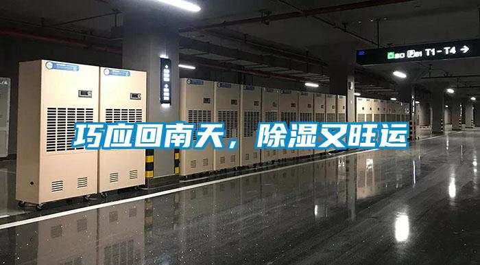 巧應(yīng)回南天，除濕又旺運(yùn)