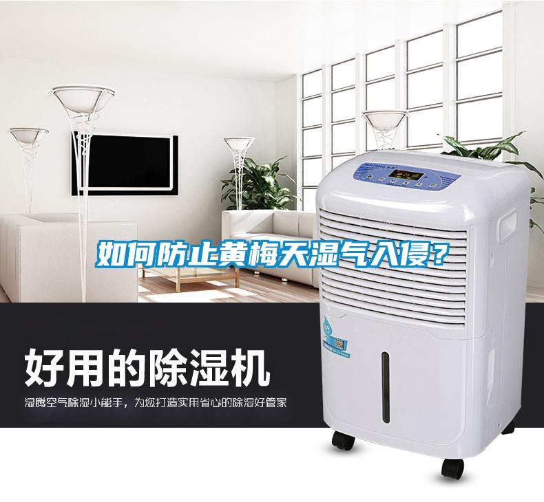 如何防止黃梅天濕氣入侵？