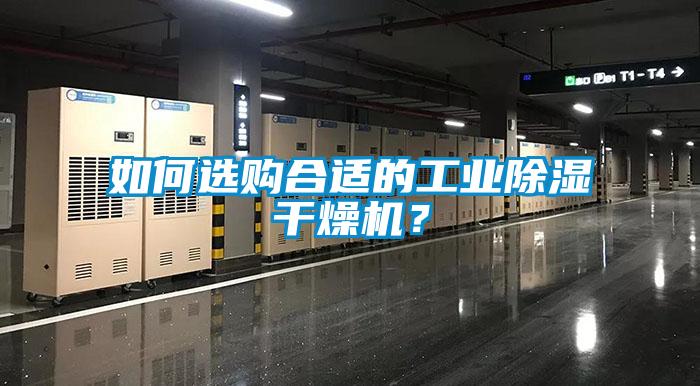 如何選購合適的工業(yè)除濕干燥機？