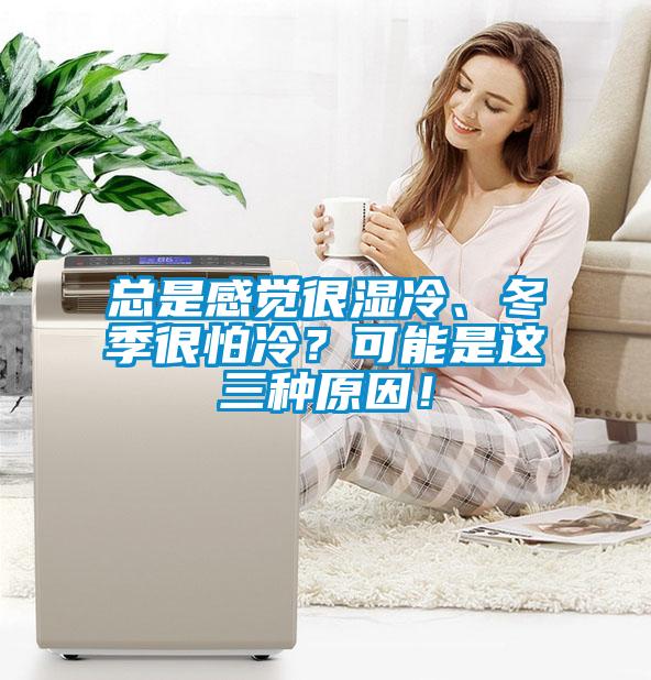 總是感覺很濕冷、冬季很怕冷？可能是這三種原因！