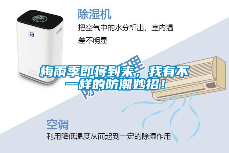 梅雨季即將到來，我有不一樣的防潮妙招！
