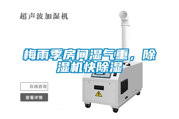 梅雨季房間濕氣重，除濕機快除濕