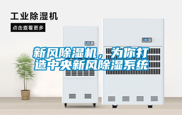 新風除濕機，為你打造中央新風除濕系統(tǒng)