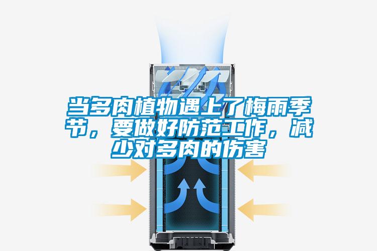 當(dāng)多肉植物遇上了梅雨季節(jié)，要做好防范工作，減少對多肉的傷害