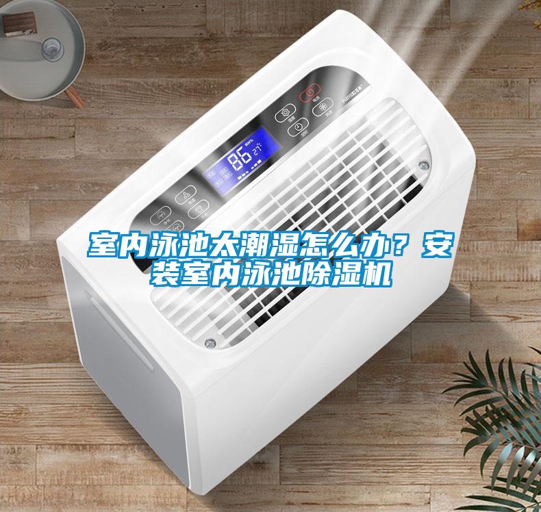 室內(nèi)泳池太潮濕怎么辦？安裝室內(nèi)泳池除濕機(jī)