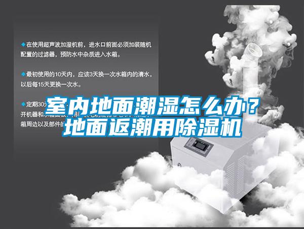 室內地面潮濕怎么辦？地面返潮用除濕機