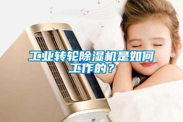 工業(yè)轉(zhuǎn)輪除濕機是如何工作的？