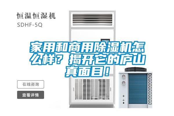 家用和商用除濕機(jī)怎么樣？揭開它的廬山真面目！