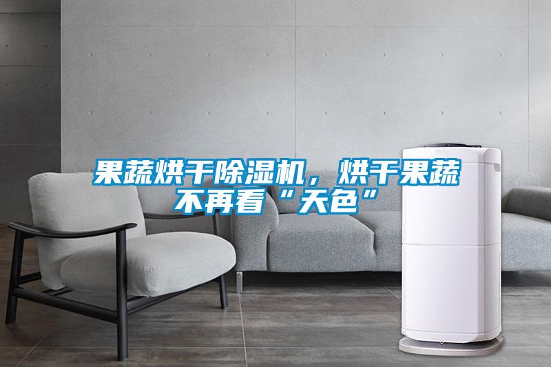 果蔬烘干除濕機，烘干果蔬不再看“天色”