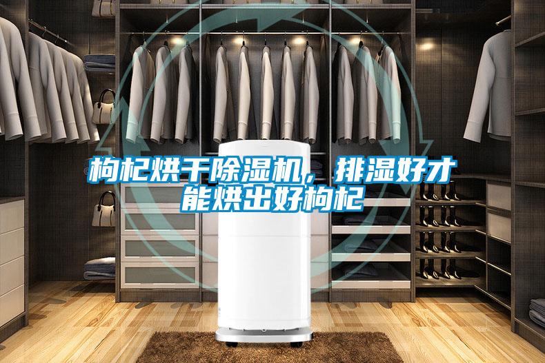 枸杞烘干除濕機，排濕好才能烘出好枸杞