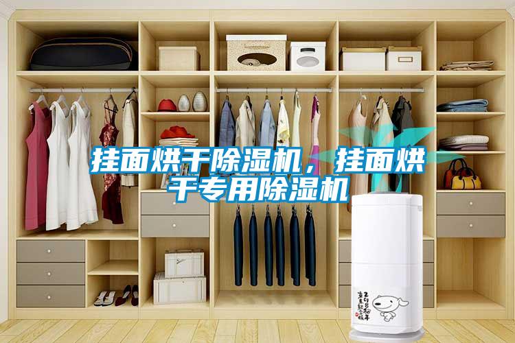 掛面烘干除濕機，掛面烘干專用除濕機