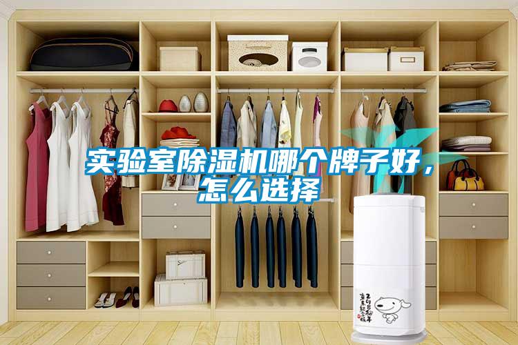 實(shí)驗(yàn)室除濕機(jī)哪個(gè)牌子好，怎么選擇