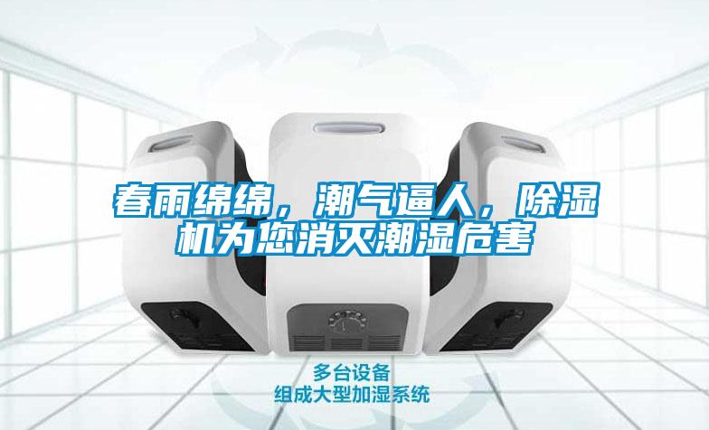 春雨綿綿，潮氣逼人，除濕機(jī)為您消滅潮濕危害