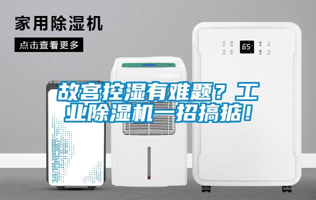 故宮控濕有難題？工業(yè)除濕機一招搞掂！