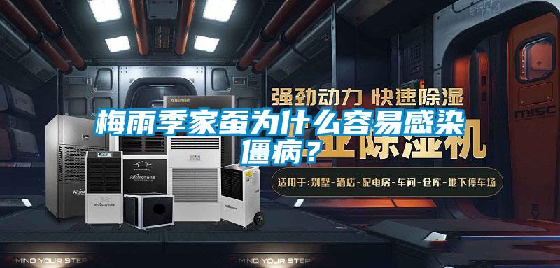 梅雨季家蠶為什么容易感染僵??？